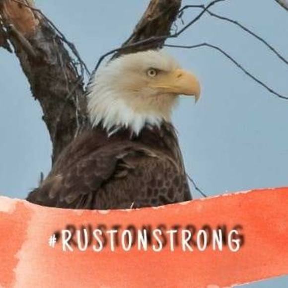 Meet your Posher, Lorrie - Picture 1 of 1